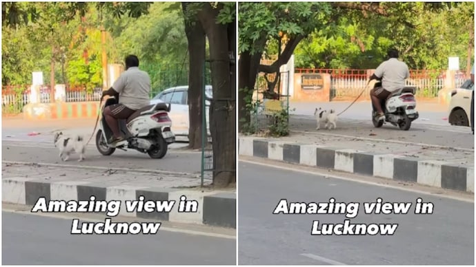 Lucknow man's 'Nawaabi style' pet walk on scooter goes viral (Photos: @adhyayan_pandey_jii/Instagram) Lucknow man's 'Nawaabi style' pet walk on scooter goes viral
