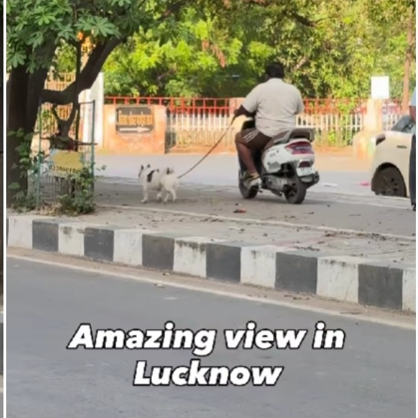 Lucknow man's 'Nawaabi style' pet walk on scooter goes viral