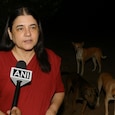 Maneka Gandhi says SC failed to solve India’s stray dog crisis Maneka Gandhi says SC failed to solve India’s stray dog crisis