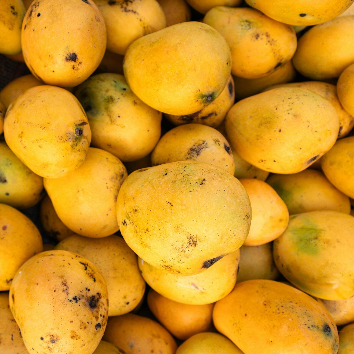 Pune techie assaults wife over payment for mangoes worth Rs 850; case lodged