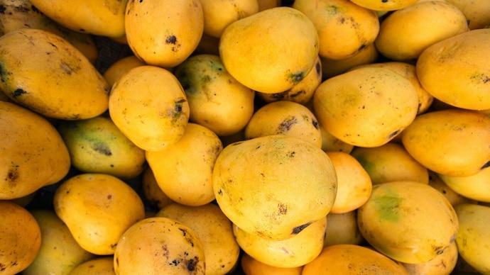Rs 850 mango box sparks domestic dispute in Pune.