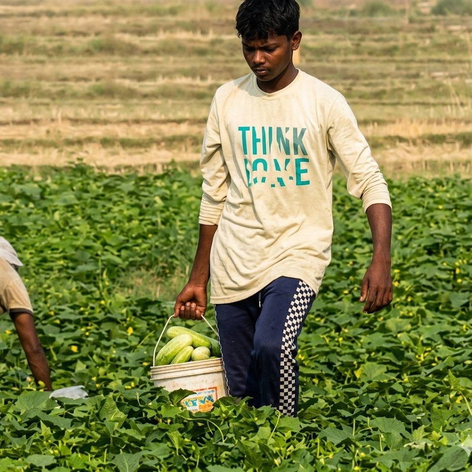Rs 1.5 lakh in 23 days: ITI pass-out says no to job, earns through organic farming Rs 1.5 lakh in 23 days: ITI pass-out says no to job, earns through organic farming