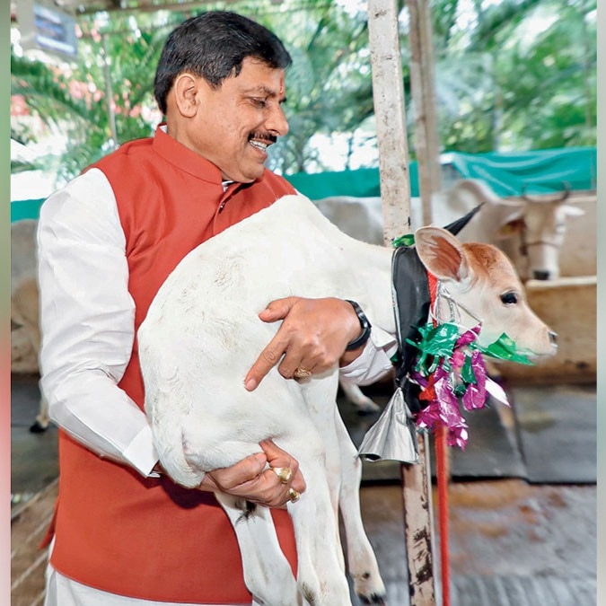 Mohan Yadav’s milk revolution: Boosting farmers’ incomes, beating malnutrition