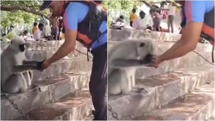 A cop helped a thirsty monkey with water In Uttarakhand. (Photo: X) Monkey