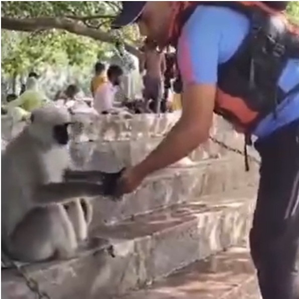 Uttarakhand cop helps thirsty monkey drink water from his own hands amid heatwave
