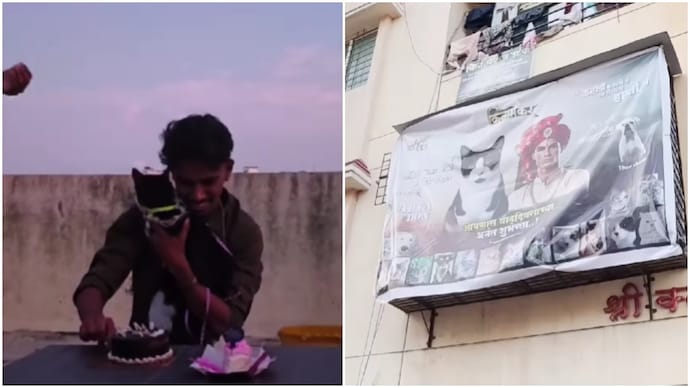 Mumbai man celebrates pet cat’s birthday, yes, he took it very seriously