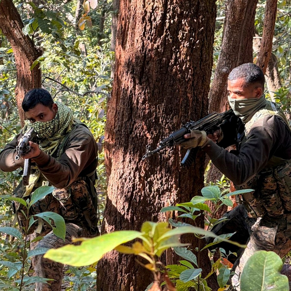 Why Amit Shah chose Bastar to declare Naxal-free India
