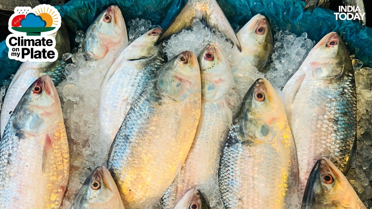 Why Pomfret and Hilsa are becoming rare delicacies on Indian plates