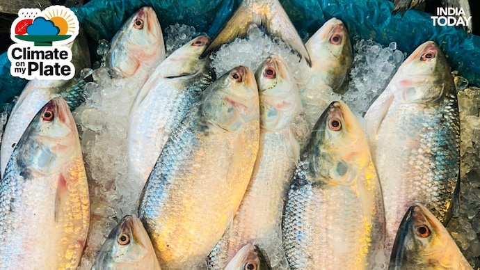 An image of Hilsa fishes on display at a local fish market. (Photo: Pexels) No Pomfret, no Hilsa: Climate change is emptying the fish markets