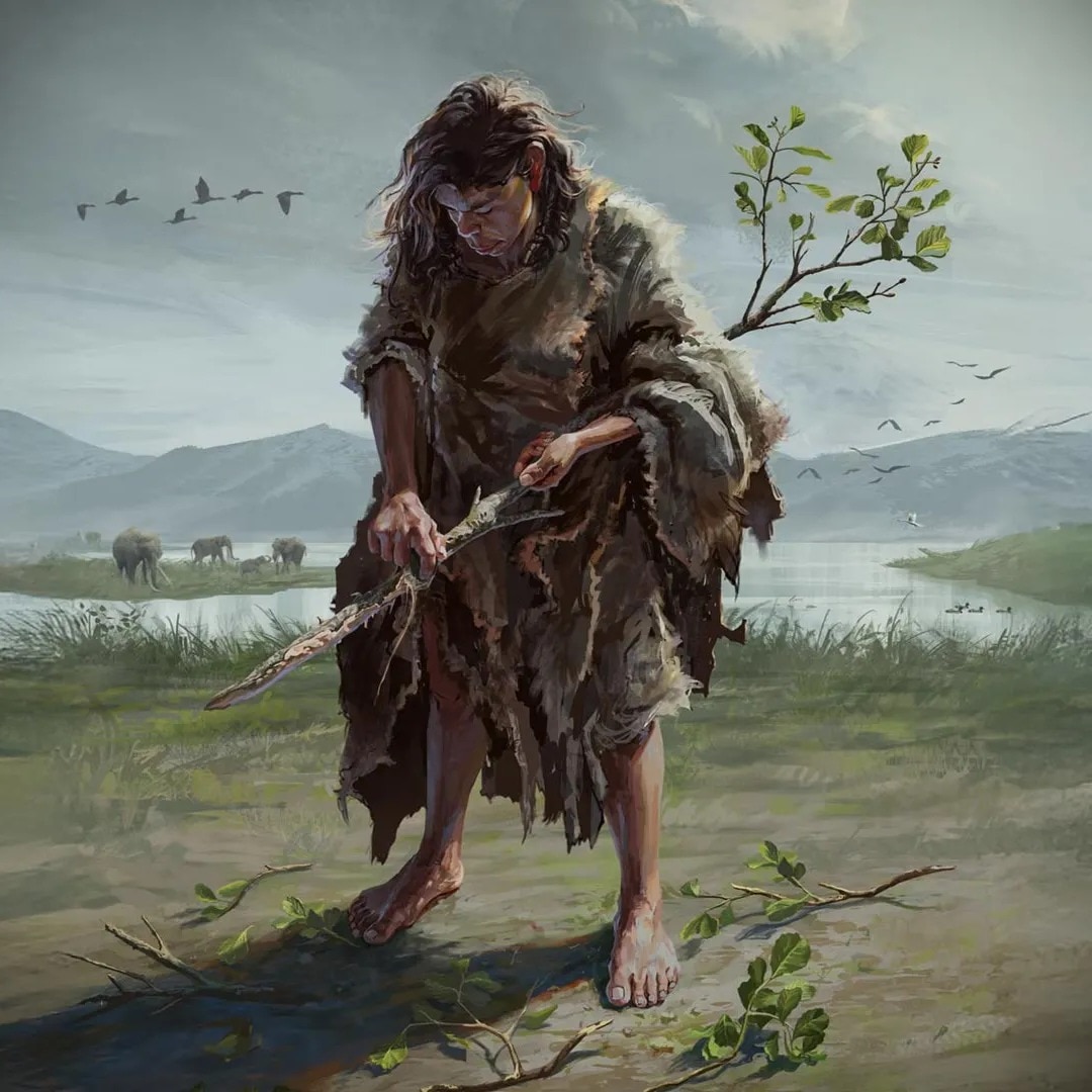 Ancient humans were using sophisticated wooden tools 4,30,000 years ago