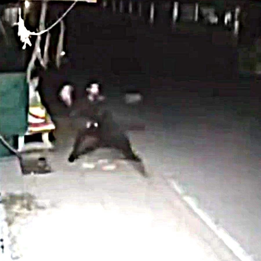 Bike-borne robbers loot Pathankot man, get attacked with bricks in return