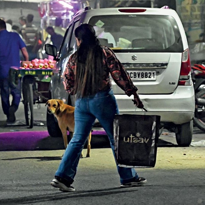 From the India Today archives (2022) | Stray peril: How to manage street dogs