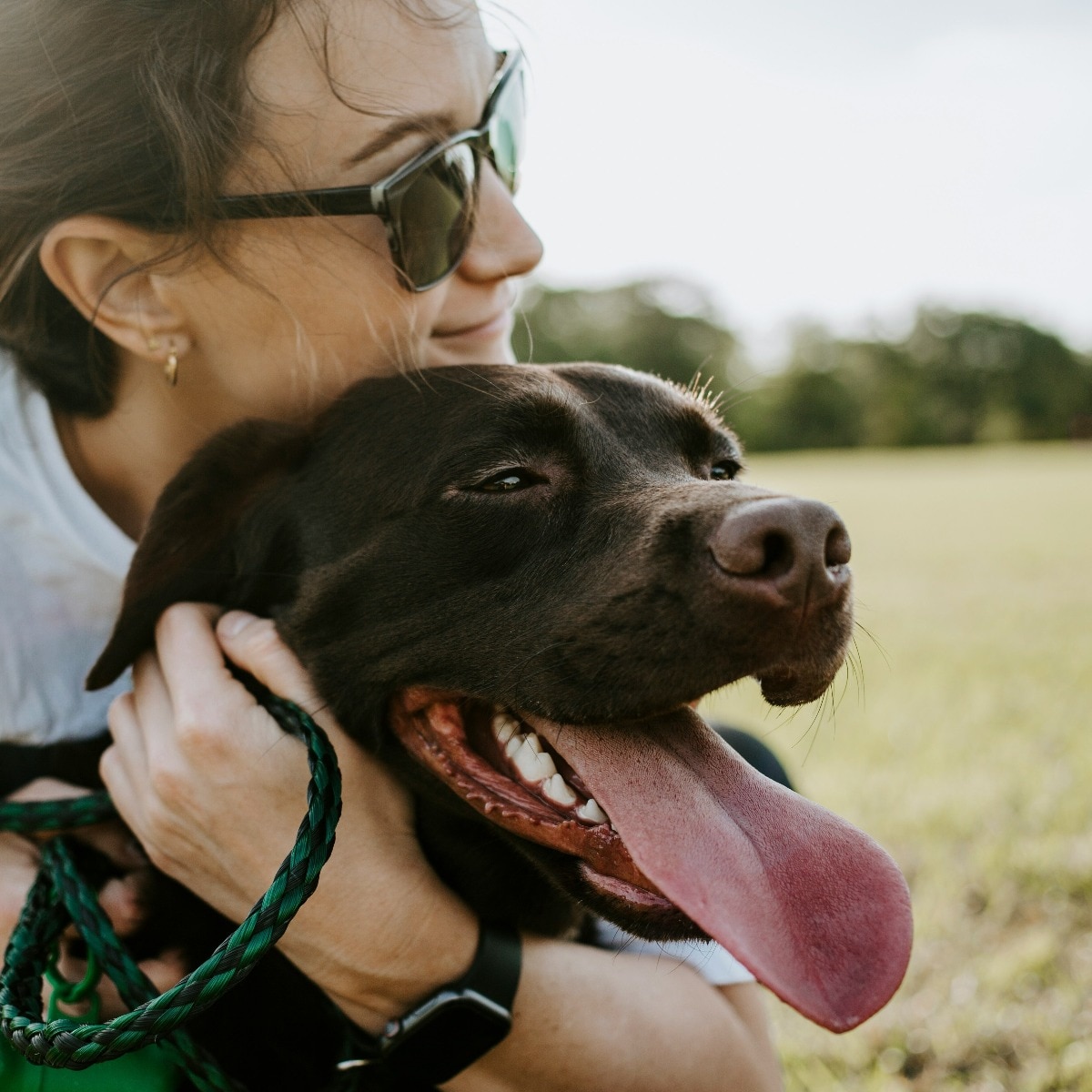 If pets are not properly cared for in this heatwave, problems like dehydration, weakness, vomiting, shortness of breath, and heat stroke can occur. (Photo: Unsplash)