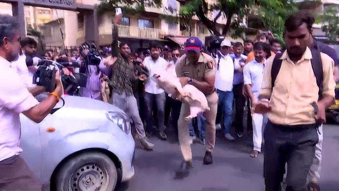 According to police sources, the violence broke out in Mira Road, a suburb in Thane district, after residents objected to goats being kept inside a housing society for sacrifice during Bakrid. pig brought to Mira Road society by VHP, Bajrang Dal