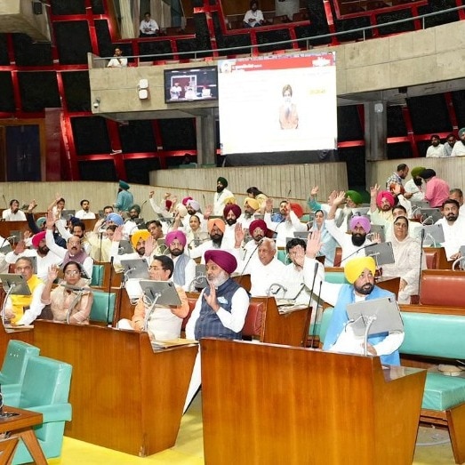Public trust remains with AAP: Bhagwant Mann wins trust vote in Punjab Assembly