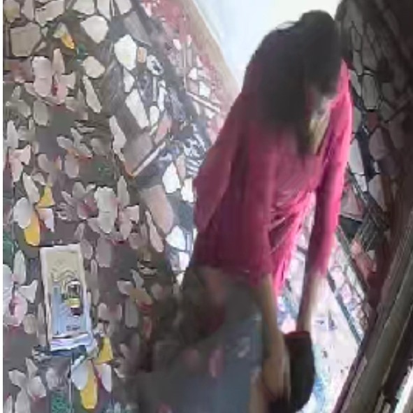 Punjab woman drags mother-in-law by hair during argument, violent clash caught on CCTV