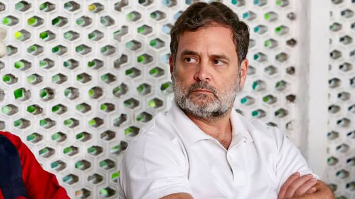 Rahul Gandhi alleged BJP wins elections through manipulated electoral processes. (Photo: PTI)