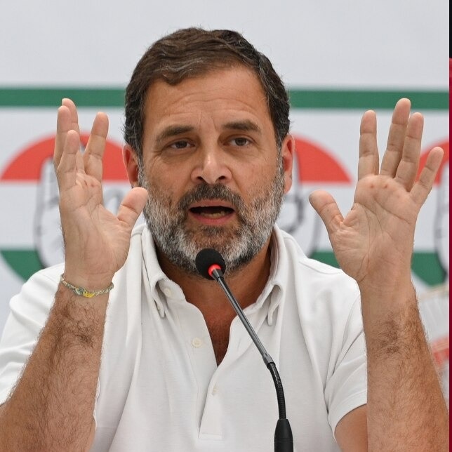Rahul warns of economic shock, saying PM will sit in palace while youth suffers