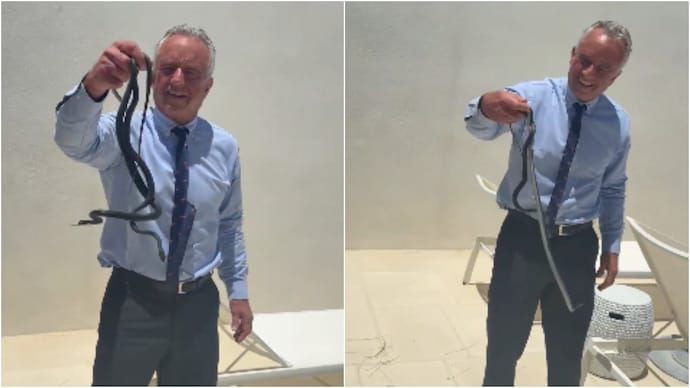 RFK Jr proudly handles snakes with bare hands (Photos: RFK Jr/X) RFK Jr proudly handles snakes with bare hands