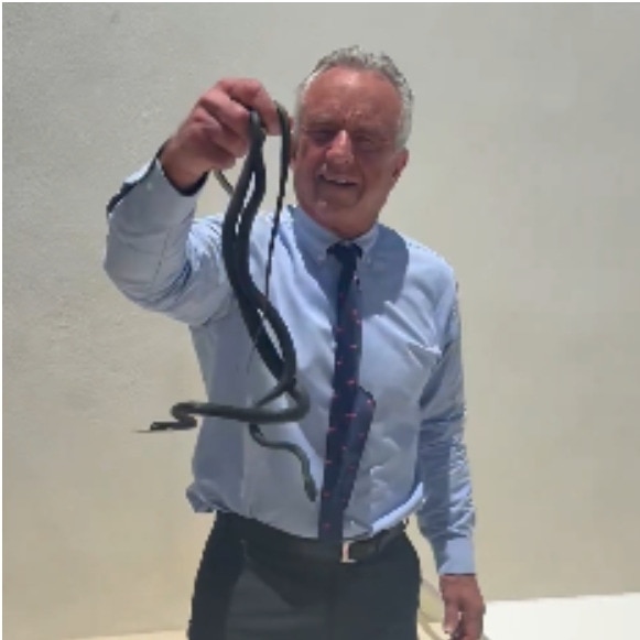 RFK Jr proudly handles snakes with bare hands, ignores wife's warnings