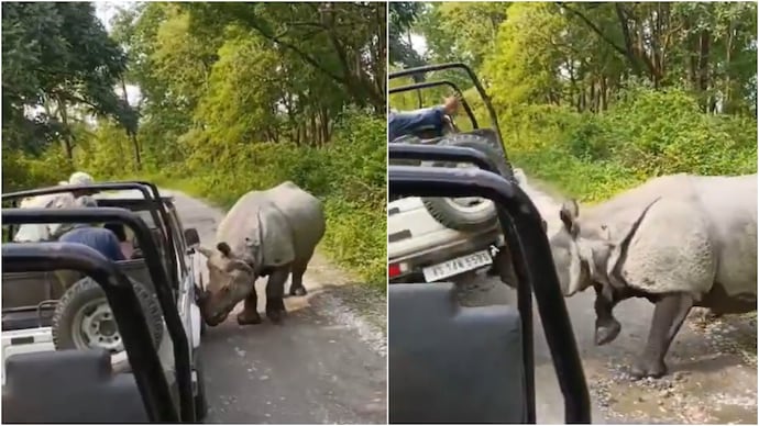 A viral video from Assam showed a wild rhino trying to flip a safari jeep. (Photo: X) rhino