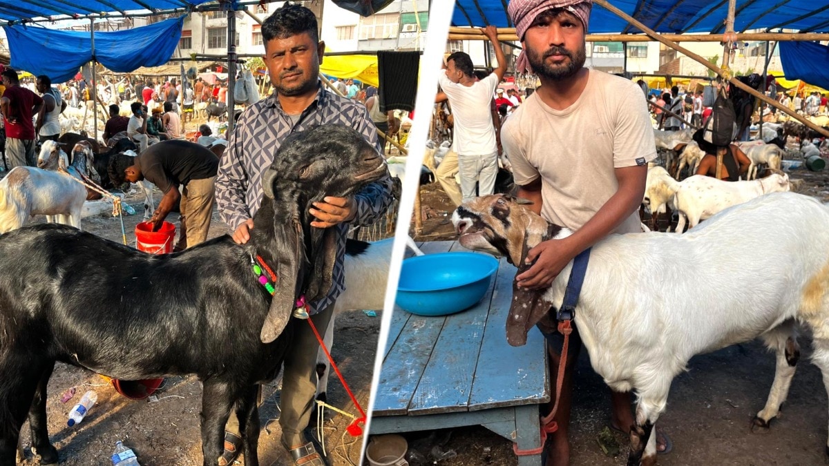 Salman for Rs 2.4 lakh, Sultan for Rs 1.8 lakh: Meet star goats at Patna Eid market