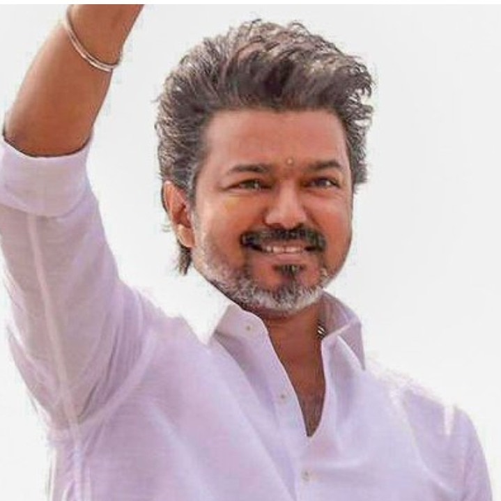 Cinema can move systems: Sandeep reddy Vanga shares note on Vijay’s political win
