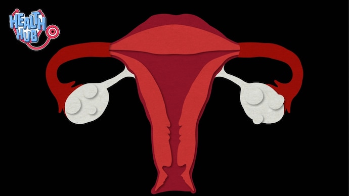 Scientists are studying whether reducing the frequency of menstruation can preserve fertility without negatively affecting the body. Scientists are studying whether reducing the frequency of menstruation can preserve fertility without negatively affecting the body.