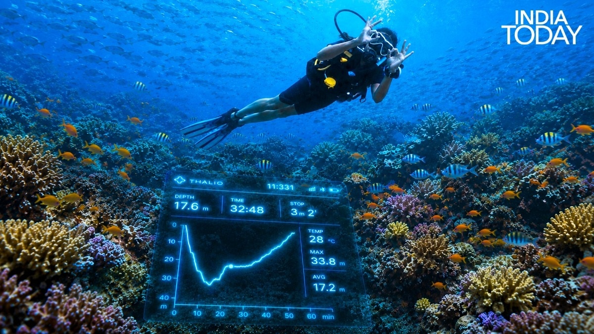 I jumped into the ocean to discover what it does to the human body