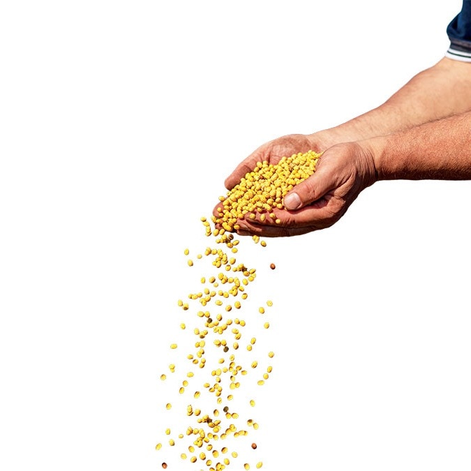Draft Seeds Bill 2025 | Sowing change