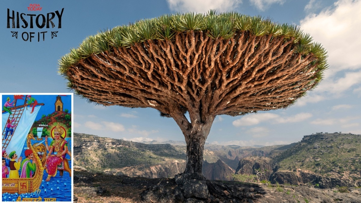 How Socotra island of Yemen became Sikotar Mata in Gujarat