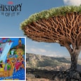 sikotar mata yemen island gujaratis worship india today sikotar mata yemen island gujaratis worship india today