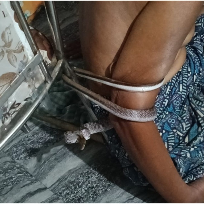 Odisha man trapped by venomous snake for 4 hours, survives without a bite