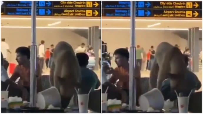 Stray dog eats leftovers on table inside Hyderabad airport. Authorities react (Photos: @sirajnoorani/X) Stray dog eats leftovers on table inside Hyderabad airport. Authorities react