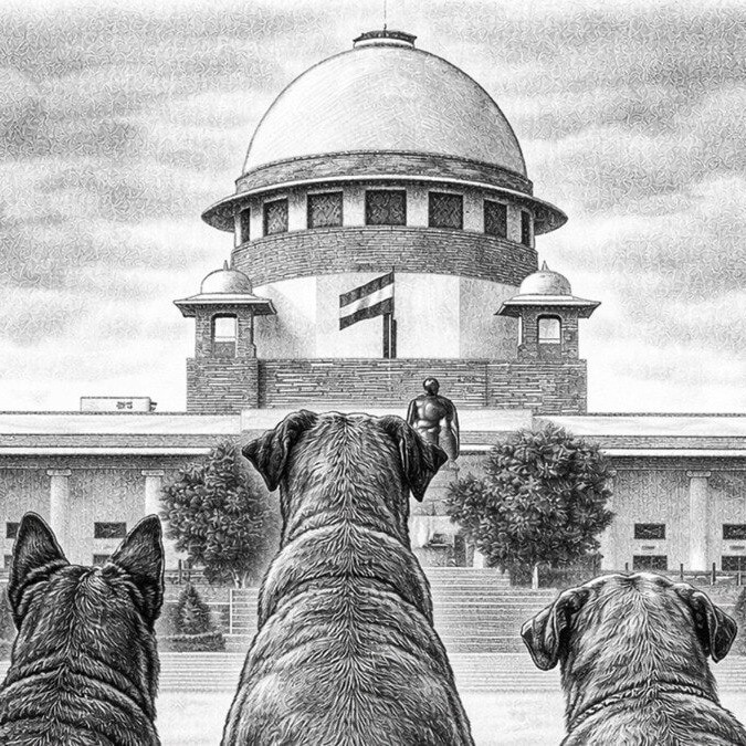 Stray dogs case