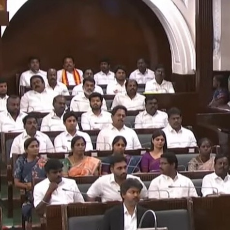 Tamil Nadu CM Vijay