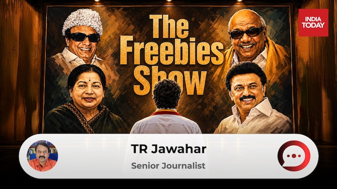 The Freebies show The Freebies show