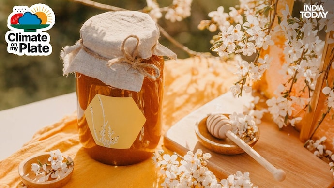 The honey on your shelf is real. But the world that made it is quietly falling apart. Climate change is disrupting the ancient timing between flowers and bees. (Photo: Unsplash) The honey on your shelf is real. But the world that made it is quietly falling apart. Climate change is disrupting the ancient timing between flowers and bees. (Photo: Unsplash)