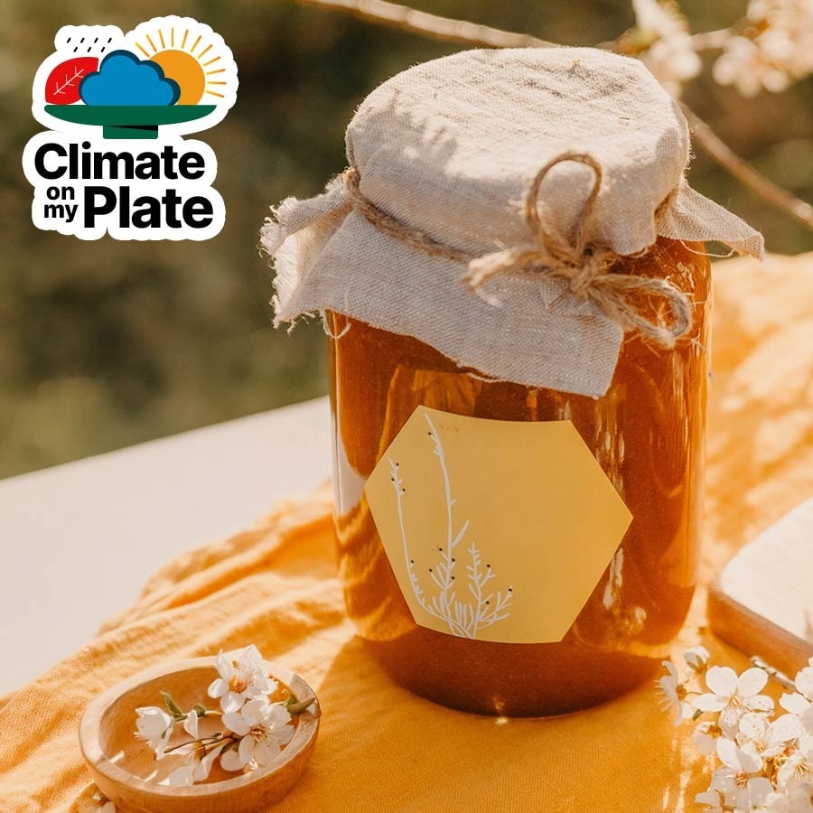 Honey, we have a problem: How climate change lost bees their flowers