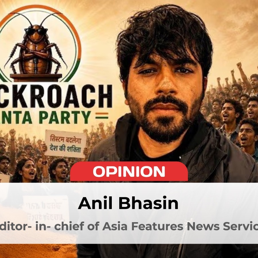The Cockroach Party is significantly satirical. But is it actually useful?