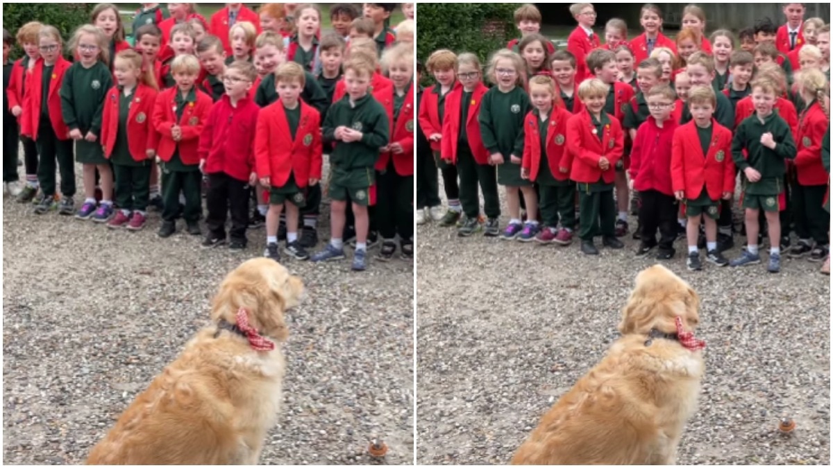 UK schoolchildren's adorable Happy Birthday rendition for therapy dog goes viral