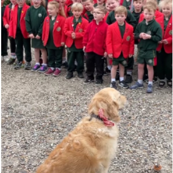 UK schoolchildren's adorable Happy Birthday rendition for therapy dog goes viral