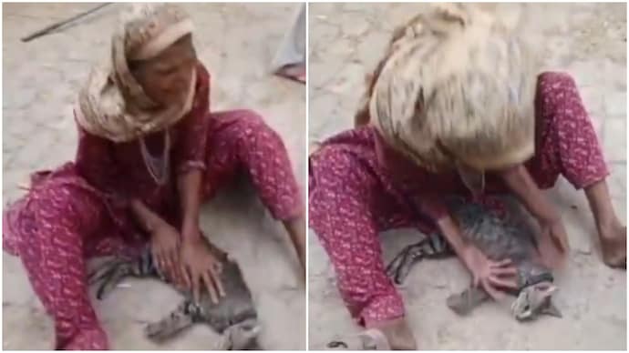UP woman cries inconsolably after pet cat's death UP woman cries inconsolably after pet cat death