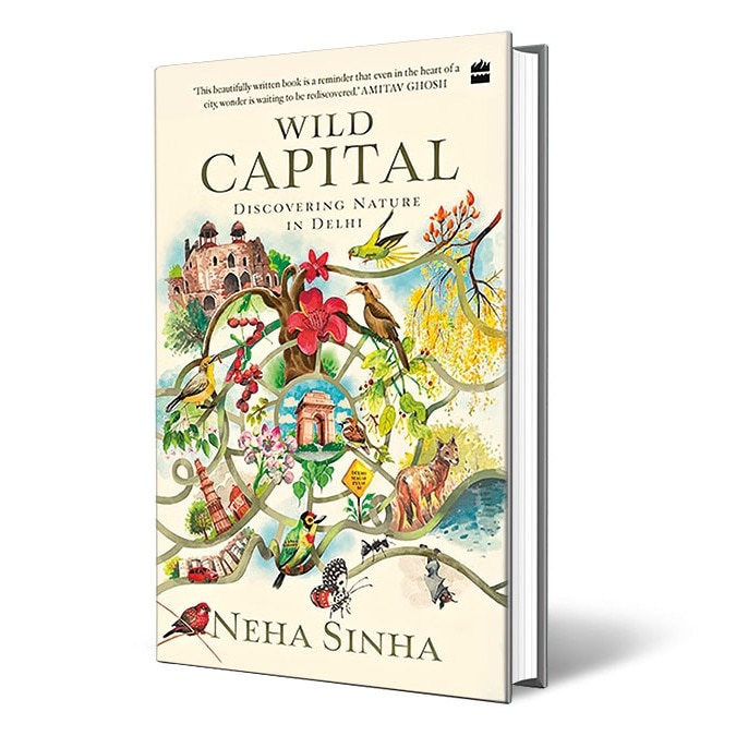 Urban jungle | Neha Sinha’s 'Wild Capital'