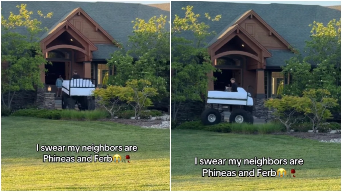 US man finds 'real-life Phineas and Ferb' next door, guess what they were up to