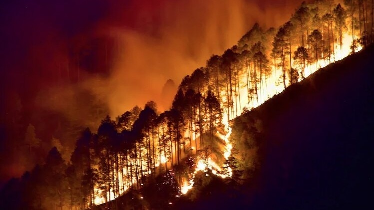 Satellite images show vast scorched forest areas in Uttarakhand and Himachal