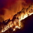Uttarakhand forest fire Uttarakhand forest fire