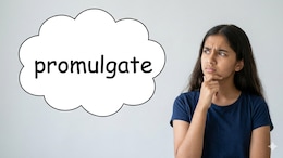 Word of the day: What 'promulgate' means and how to use it right Word of the day: Promulgate meaning, pronunciation, definition, usage and examples explained