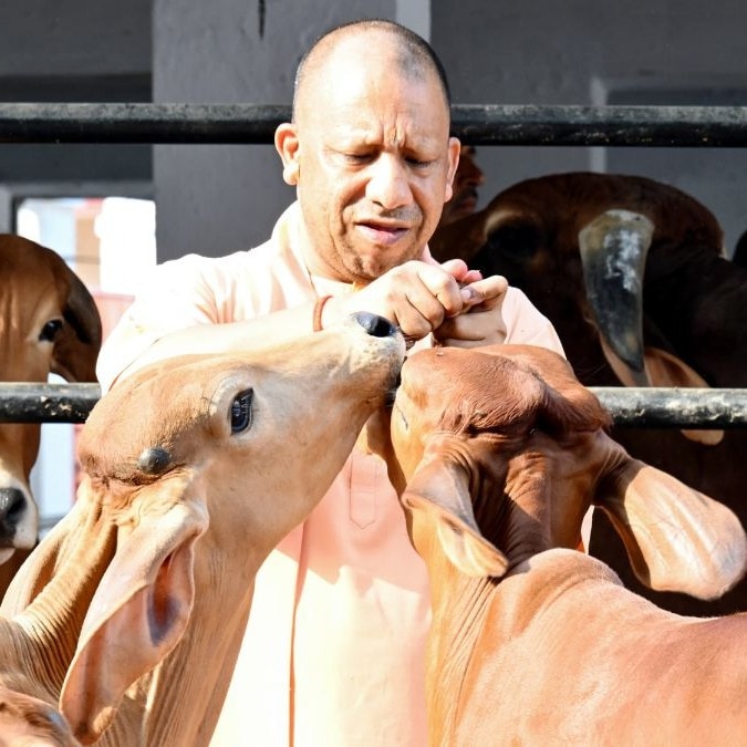 How BJP aims to milk UP dairy masterplan in 2027 elections