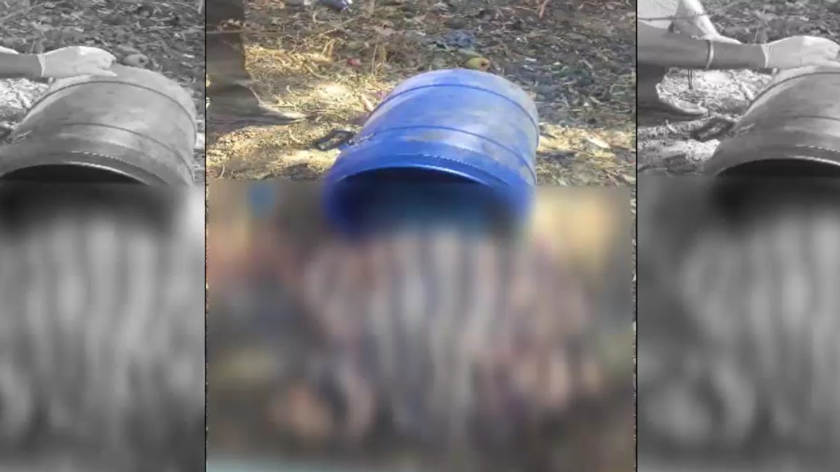 Woman's body found stuffed inside blue drum on roadside in Punjab's Patiala